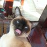 MoodyIII 的头像