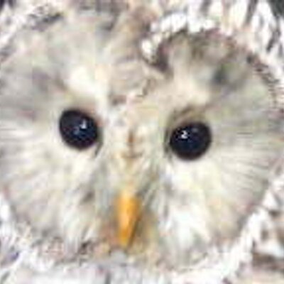 kzooooo's profile picture