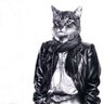 LebensfรคhigOhneMarketing's profile picture