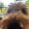 Lizabeast's profile picture