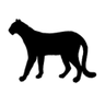 Фото профиля WiLDCaT