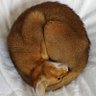 mike's profile picture