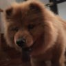 Ritch's profile picture
