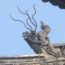 Фото профиля madao