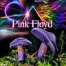 floyd 的头像