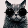 Profilbild von Sven