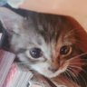 Profilbild von key