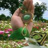 Mansoor's profile picture