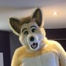 Wonderdawg Dingo profil fotoğrafı