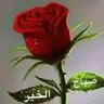 المدينة الجميلة profil fotoğrafı