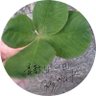 Фото профиля 桂🐢