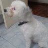 maika.puerta profil fotoğrafı