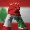 17 octobre's profile picture