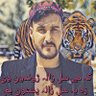 saeed shah 's profile picture