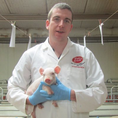 Shane McAuliffe 🐷✈️'s profile picture
