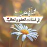 سامي السيف's profile picture