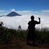 orangaring's profile picture