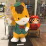 「箱入り」なつみかん profil fotoğrafı