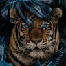 محـمد بغلف's profile picture