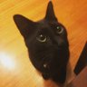 kotaro's profile picture