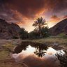Фото профиля أحمد عبدالله الزيداني
