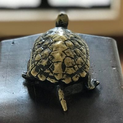 mochikimokichi's profile picture