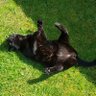 Beverley Parks profil fotoğrafı