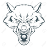 Night's profile picture