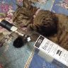 まっつん's profile picture