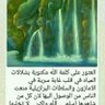 RAJAOUI ALI 的头像