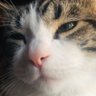 Fredward's profile picture