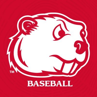 MSUBeaversBASE's profile picture