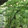 東京は奥が深い profil fotoğrafı