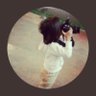 السنيـــــــووره 🇸🇦🇸🇦🇸🇦's profile picture