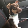 TheSog profil fotoğrafı