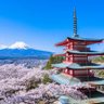 かめたろう 的头像