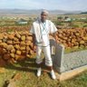 masixole Mpande's profile picture