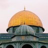 العِزّة 的头像