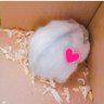 Masheri マシェリ blog's profile picture