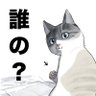 らいらく profil fotoğrafı