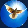 سومري's profile picture