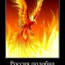 Елисеев Николай 的头像