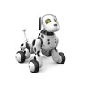 Фото профиля DogBot