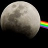 MoOn's profile picture