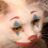 Ardosh's profile picture