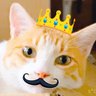 まる's profile picture