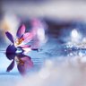Фото профиля katie love