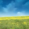 Profilbild von blue.blue.sky(蒼い空)