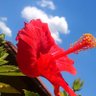 Фото профиля Elisangela