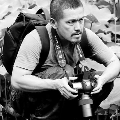gymtigerx's profile picture